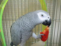 ブランコ好き〜♪