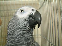 粉も取れてさっぱり