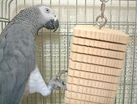 壊しがいありそうやねぇ