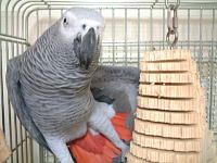 こんなん出来ました!