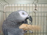 上にぶら下がっているネジが寂しげ・・・