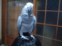 ど、どうしよう、乗っちゃった・・・