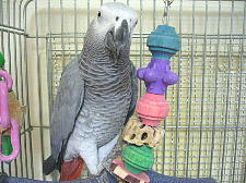 これも面白いよ