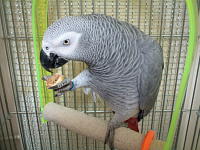 揺れながら食べるんもええなぁ