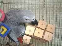 ありゃりゃぁ〜