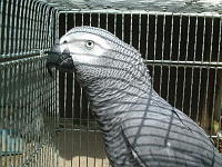 ほこほこして気持ちええわぁ〜。