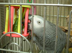 こんなの簡単に取れるやん