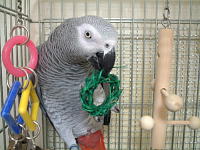 これ、壊しやすいねっ!