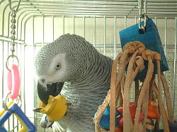 レザーをほどくの大好き