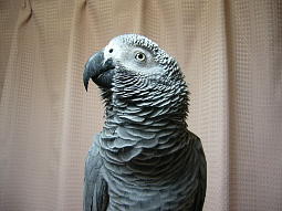 希望に満ちたまなざし?