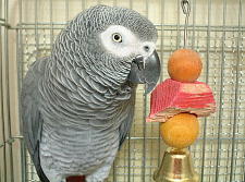 おでんみたいになってもた・・・