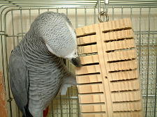 あっ、これ、また買ってくれたんやね!