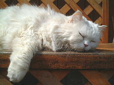 はぁ、気持ちいい〜