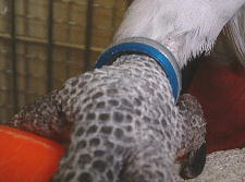 数ミリの余裕はありますが・・・