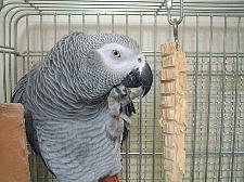 うりゃぁ〜〜〜!