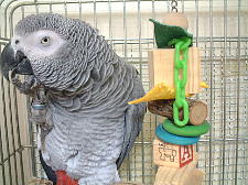 爪切りしてもこうやって尖らせてくれるんよ