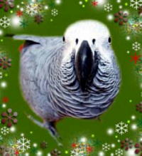 こっちも素敵〜♪