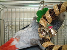 こんなにたくさん買っちゃいました