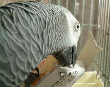 おぉ?中になんか入ってる〜!