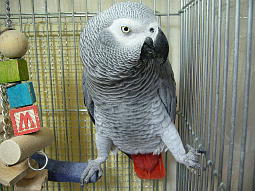 ちょっと体重増加傾向です