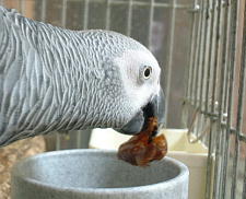 あま〜い、うま〜い、やわらか〜い♪