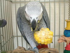 やっぱり国産のは甘いね