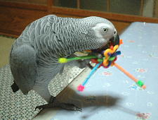 この噛みごたえがたまら〜ん