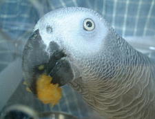 ゴトンゴトンって揺れてこわ〜い!