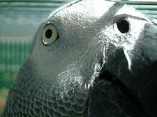 顔にも粉吹いてます