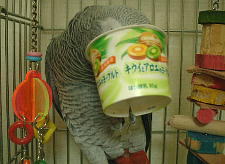 何かあるかな〜?