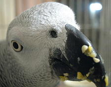 甘かったなの・・・