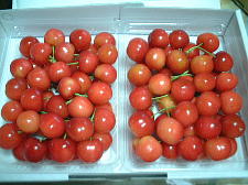 ケージの隅には小さくなったかじりん棒が・・