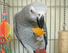 甘くって美味しいね!