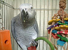 えっ?豆って実を食べるんでしょ?