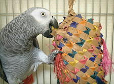 おぉ〜!こりゃ、面白いやん