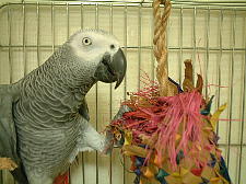 どう?破壊進んだでしょ