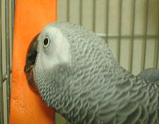 この穴が気になる〜