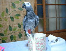 ここがお気に入り