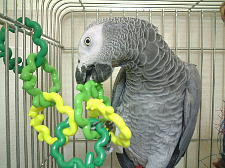 壊せやんからおもろないわぁ〜