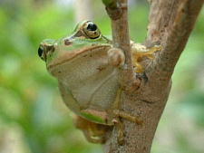 お手手ががかわいい〜