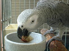 皮付きでも上手に食べるんよ