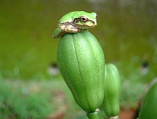 よくこんなところに乗れたねぇ