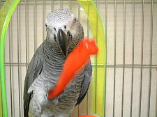 皮も食べて欲しいなぁ