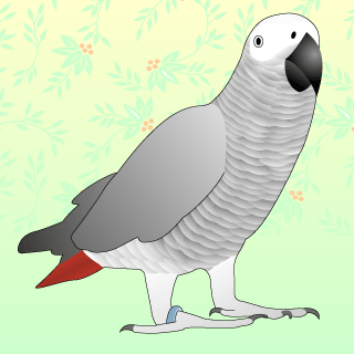 ���u���[�󂿂��