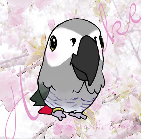 �󏕃f�t�H�����o�[�W����