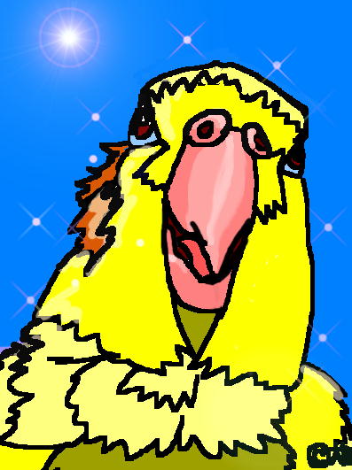 �����ь�݂̂���