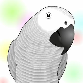 ヨウムの宝助です～。